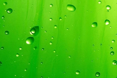 Iphone 4s wallpaper 13