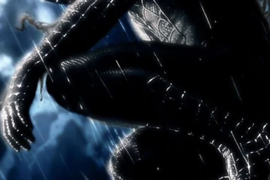 Gallery For   Black Spiderman Wallpapers Iphone