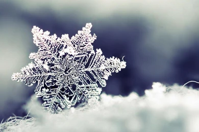 Snowflake Desktop Wallpapers