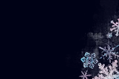 Snowflakes Winter Artwork HD Wallpapers Wallpapers   (