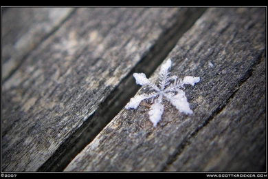 Stafezariz: Snowflake Wallpapers