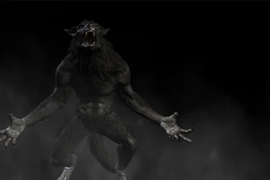 Pics, Facts, Funny Stuff About Animals & Nature Skyrim Werewolf ...