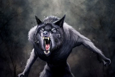 Gallery For Werewolf Wallpapers