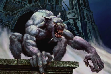 25+ Scary Werewolf Wallpapers For Desktop 10 Pelfind