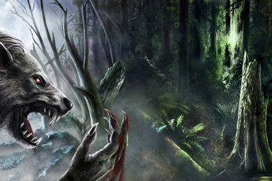 Hungry Werewolf Wallpapers Fantasy Wallpapers