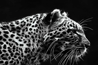 Fractal_jaguar_wallpapers.jpg