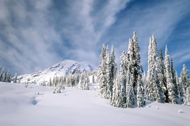 Snow in mountain wallpaper.jpg