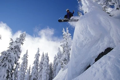 Free Screensavers And Wallpapers   7Screensavers.com