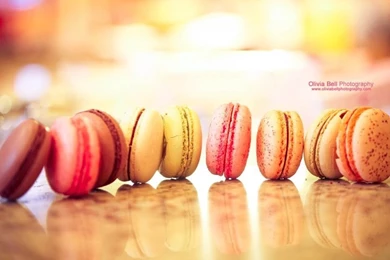 Olivia Bell Photography