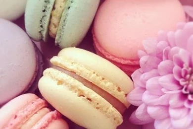 Pastel Macarons
