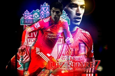 Luis Suarez Liverpool Wallpapers