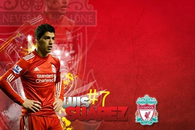 Download Luis Suarez   Liverpool Wallpapers
