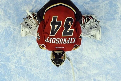 ICE HOCKEY PLAYER FROM TOP WALLPAPER   (