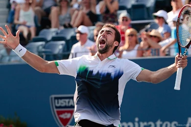 2014 US Open Winner Marin Cilic HD Wallpapers   IHD Wallpapers