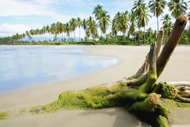 Sea Beach HD Desktop Wallpapers : High Definition : Fullscreen : Mobile