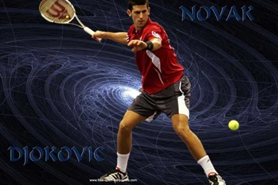 DJOKOVIC NOVAK IN BLUE WALLPAPER   (