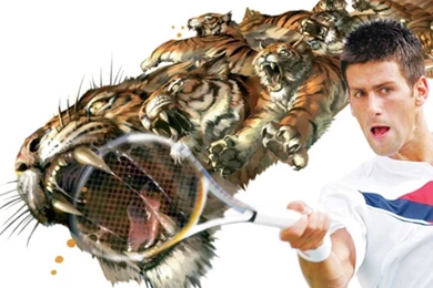 Djoko novak djokovic 15320493 1024 768.jpg