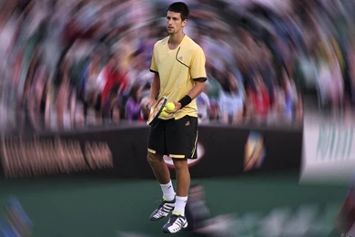 Novak Djokovic Wallpapers WallpaperSuggest.com