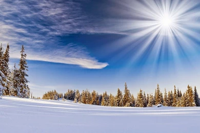 Wallpapers: November 2014