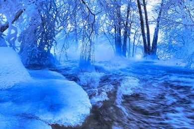 Nature Winter HD Desktop Wallpapers