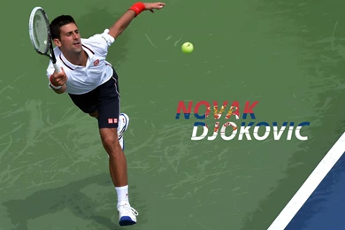 Novak Djokovic 2014 US Open Wallpaper.jpg