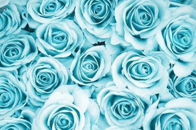 Wallpapers On Pinterest