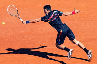 Novak Djokovic Wallpapers 2014