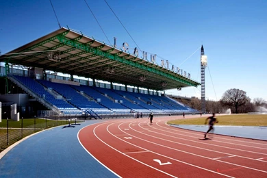 RZAPS   Zurita Architects : ICAHN TRACK & FIELD STADIUM
