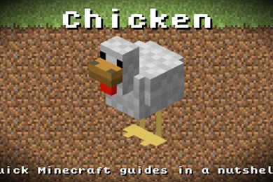 Minecraft   Chicken! Breeding, Health Points, Experience, Drop ...