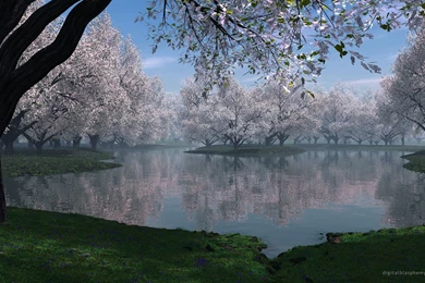 Collection, Computer, Wallpaper, Nature, Beautiful (