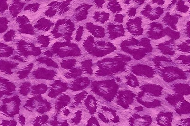 Purple Cheetah Print Iphone Backgrounds   1440x900 Leopard Skin ...