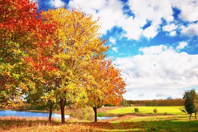 Download Wallpapers 3840x2160 Autumn, Trees, Colors, Palette ...