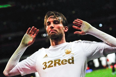 Swansea City A.F.C. Archives   Football HD Wallpapers