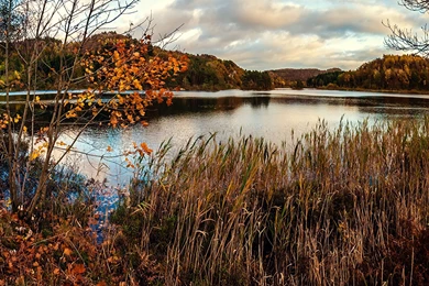 Download Wallpapers 3840x2160 Fall, Pond, Swamp, Grass, Dry, Trees ...