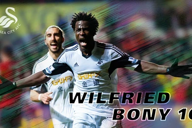 Bony art wallpaper58 1428939.jpg