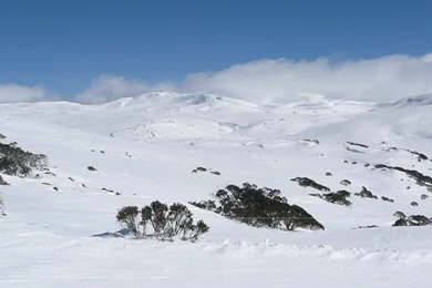 Snowy Mountains Scheme   Wikipedia, The Free Encyclopedia