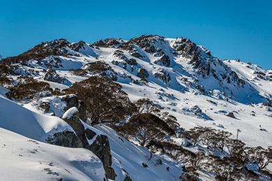 NSW Regions: Snowy Mountains