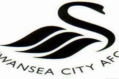 Swansea City Wallpapers Hd   Free Android Application   Createapk.com