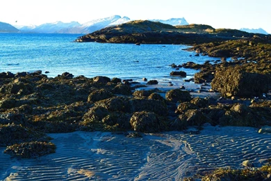 Low Tide And Snowy Mountains In The Backgrounds