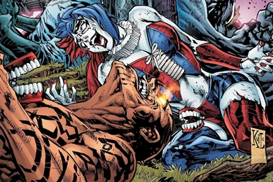 Suicide Squad Computer Wallpapers, Desktop Backgrounds