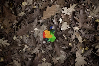 High Quality Free Images Hd Backgrounds 8 HD Wallpapers ...