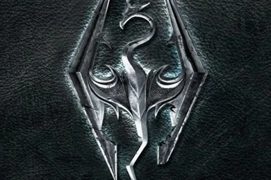 Download Wallpapers 540x960 The Elder Scrolls, Emblem, Backgrounds ...