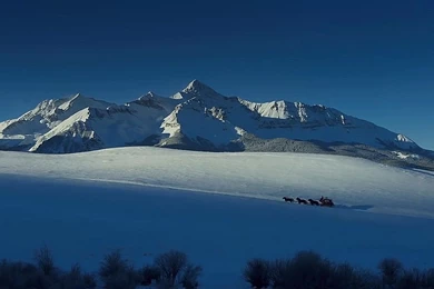 10 Cloverfield Lane Movie Wallpapers 17