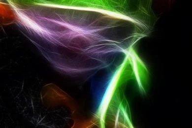 Cute Animal Wallpapers Best 10965 Samsung S4   Kampkuz.com