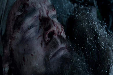 Tom Hardy In The Revenant Film HD Wallpapers