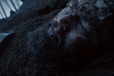 The Revenant Movie Wallpapers