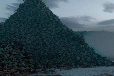 Good The Revenant Wallpapers For iPhone 6 Plus – WallpapersIQ