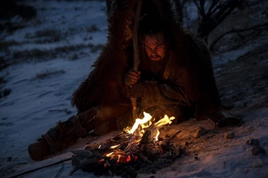 The Revenant 342846 Gallery, Images, Posters, Wallpapers And Stills