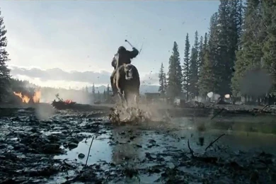 Leonardo DiCaprio The Revenant Desktop Wallpapers X337M   HD Wallpapers