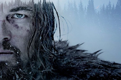 Wallpapers The Revenant HD High Quality